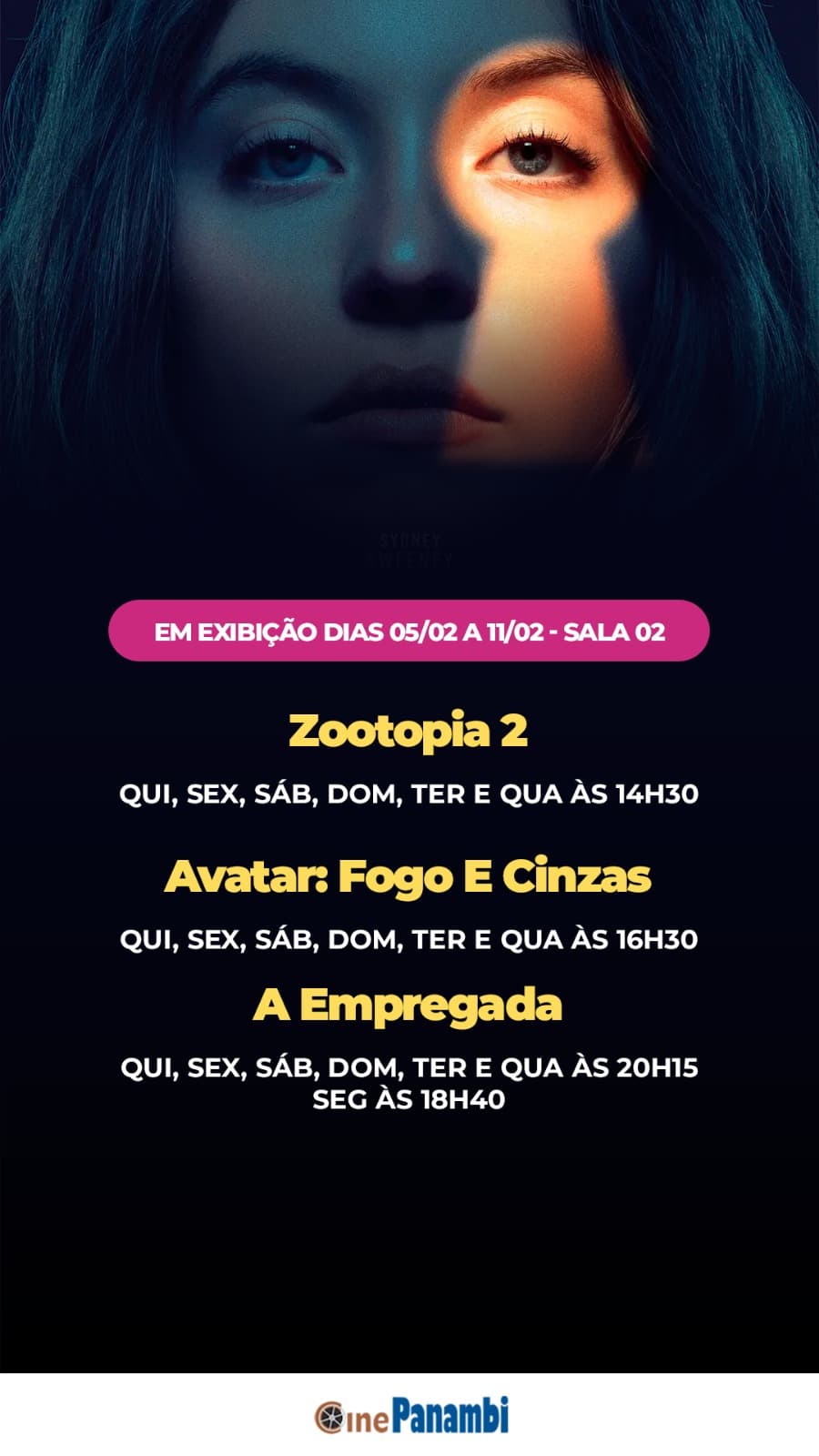 Cine Panambi: programação de 05 a 11/02