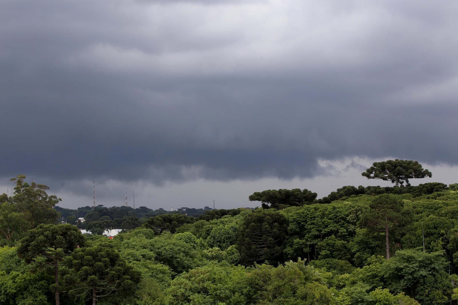 Chuva chega ao Oeste, Sudoeste e Centro-Sul do Paraná e amplitude térmica é destaque