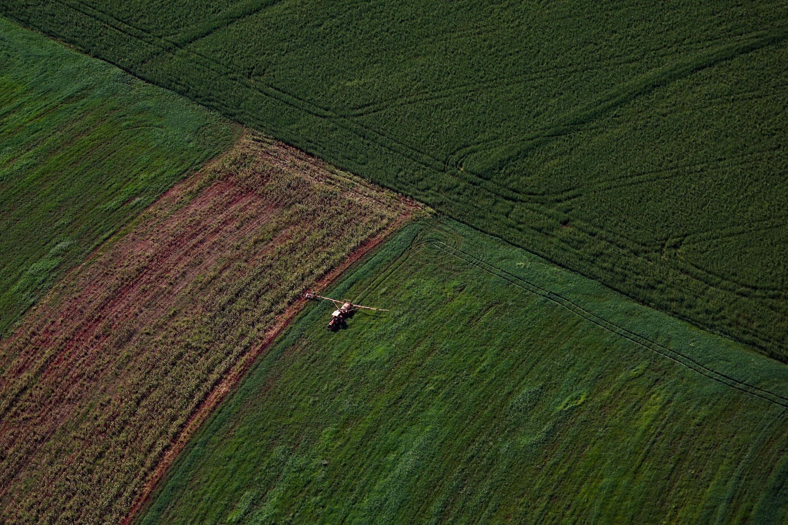 Supermercado do mundo: Paraná expande produção agropecuária entre 2018 e 2025