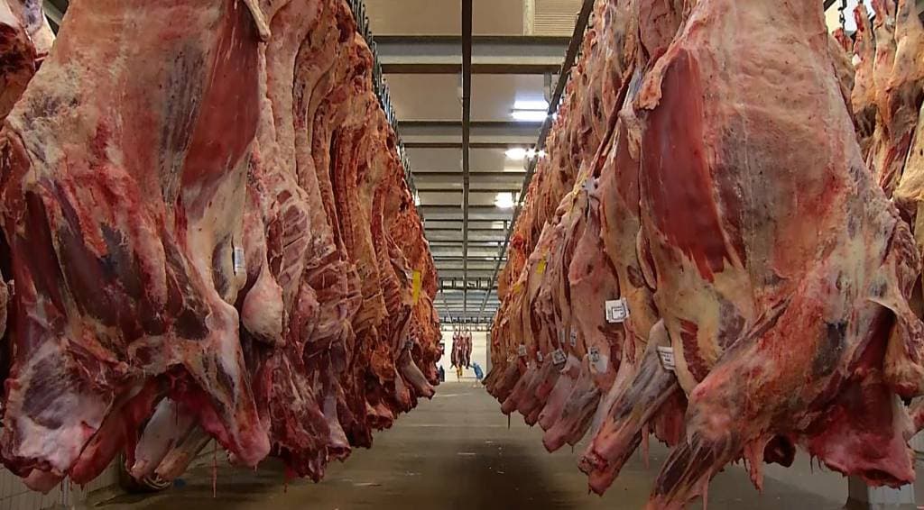 União Europeia veta compra de carne brasileira a partir de setembro