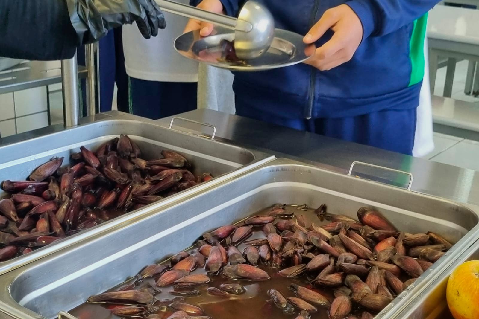 Pinhão amplia espaço nos cardápios da alimentação escolar da rede estadual