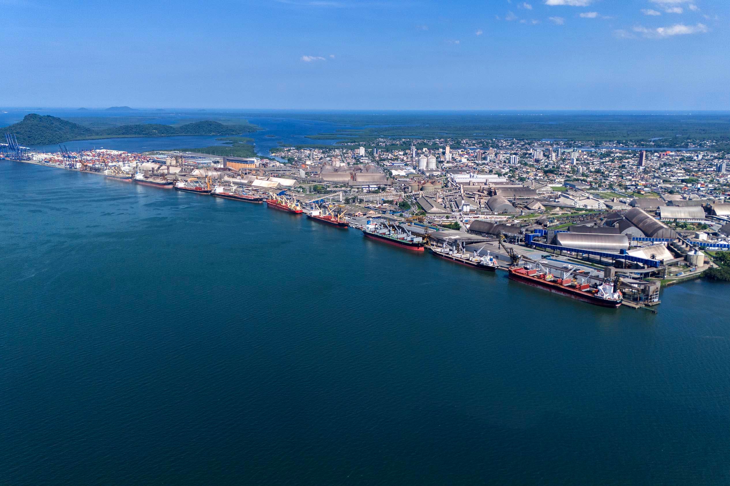 Entre navios e manguezais, biodiversidade de peixes se destaca na Baía de Paranaguá