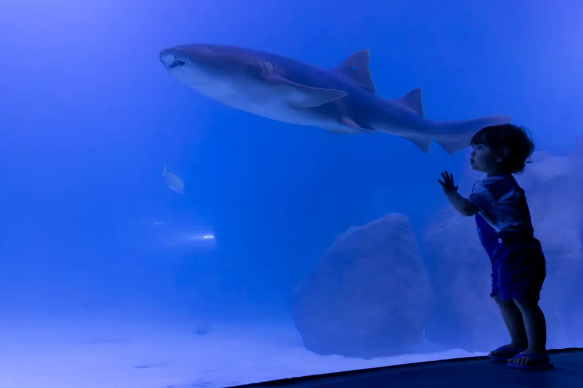 AquaFoz celebra a Semana do Meio Ambiente com ingressos promocionais durante todo o mês