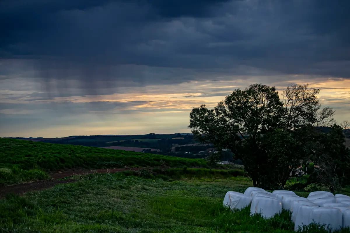 El Niño é confirmado e Simepar prevê aumento de chuvas até dezembro
